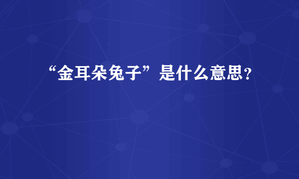 “金耳朵兔子”是什么意思？