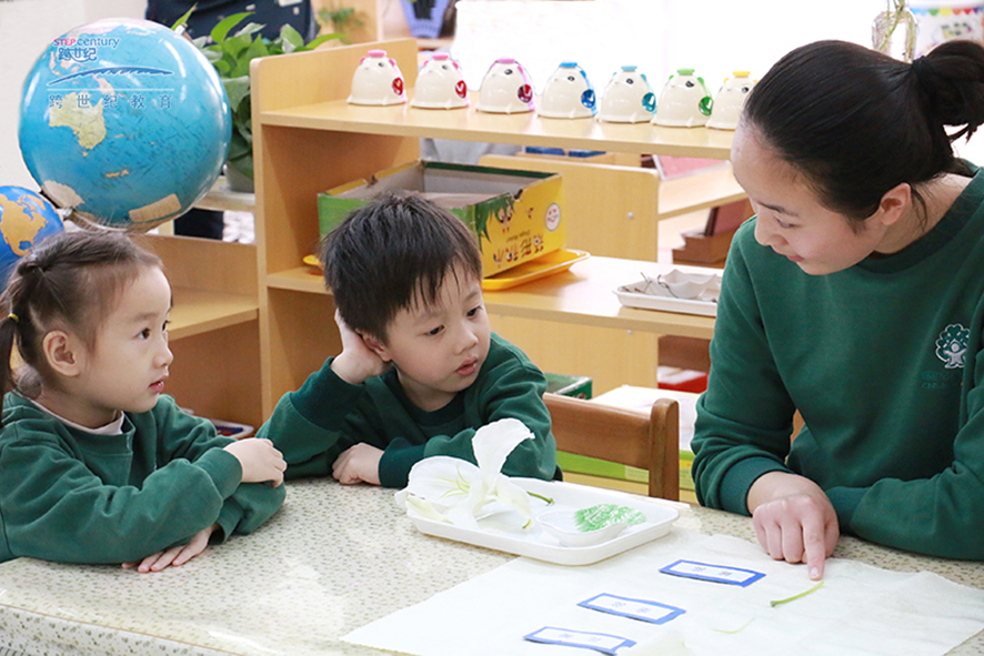 幼儿园教师管理制度内容