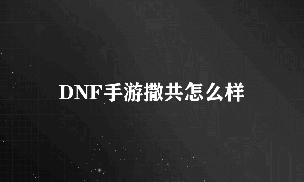 DNF手游撒共怎么样