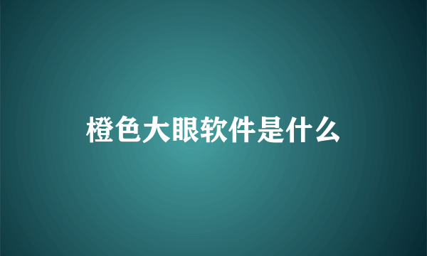 橙色大眼软件是什么