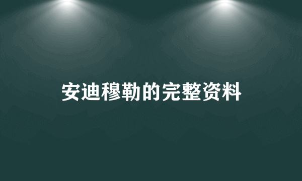 安迪穆勒的完整资料