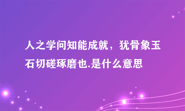 人之学问知能成就，犹骨象玉石切磋琢磨也.是什么意思