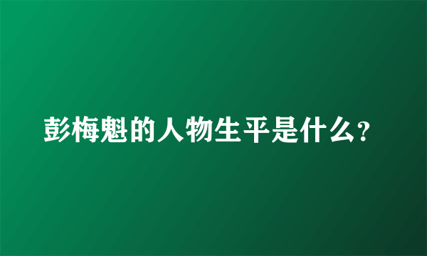 彭梅魁的人物生平是什么？