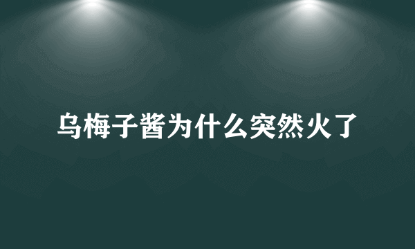 乌梅子酱为什么突然火了