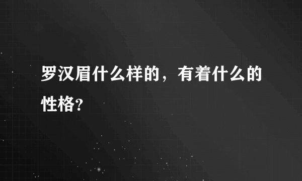 罗汉眉什么样的，有着什么的性格？