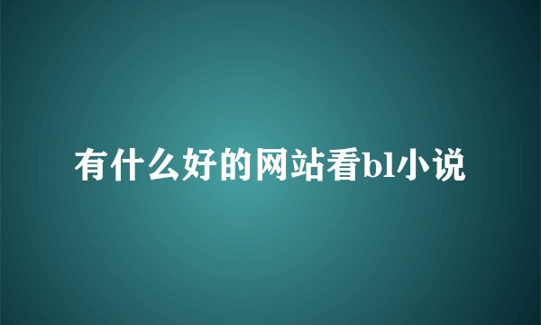 有什么好的网站看bl小说