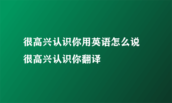 很高兴认识你用英语怎么说 很高兴认识你翻译