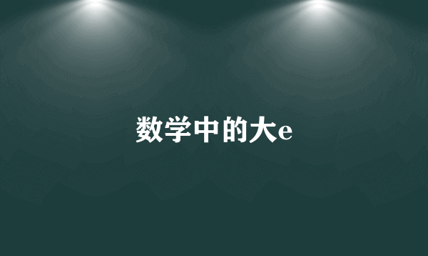 数学中的大e