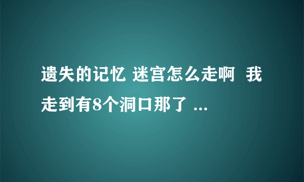 遗失的记忆 迷宫怎么走啊  我走到有8个洞口那了  木偶任务也完成了