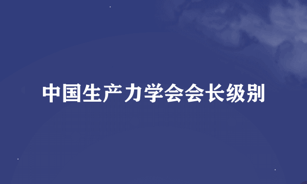 中国生产力学会会长级别