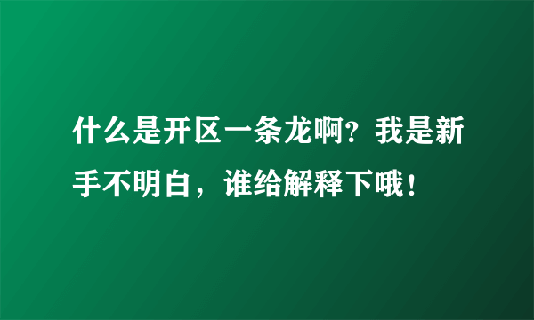 什么是开区一条龙啊？我是新手不明白，谁给解释下哦！