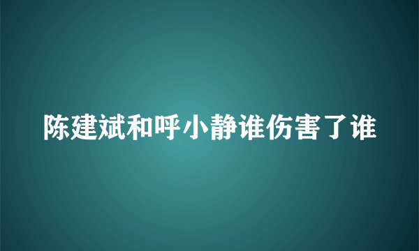 陈建斌和呼小静谁伤害了谁