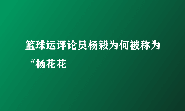 篮球运评论员杨毅为何被称为“杨花花