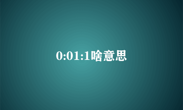 0:01:1啥意思