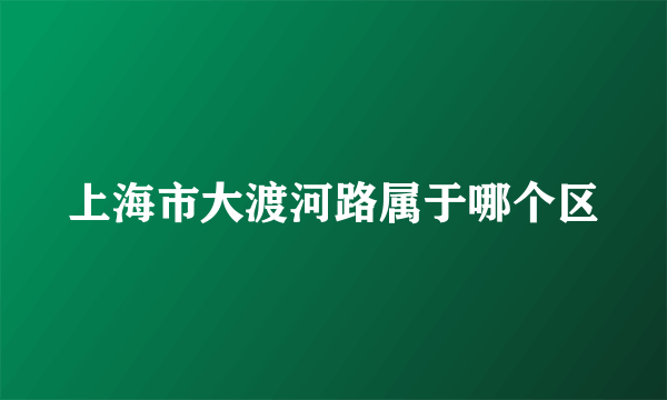 上海市大渡河路属于哪个区