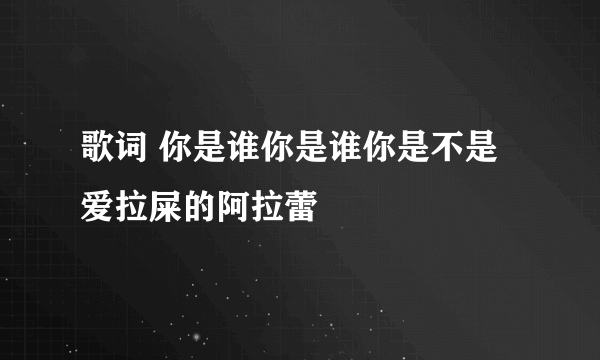 歌词 你是谁你是谁你是不是爱拉屎的阿拉蕾