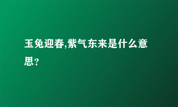 玉兔迎春,紫气东来是什么意思？