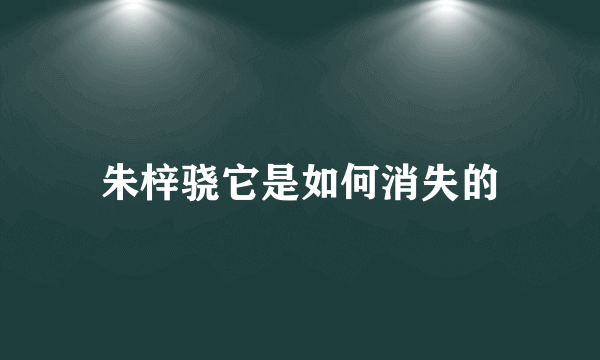 朱梓骁它是如何消失的