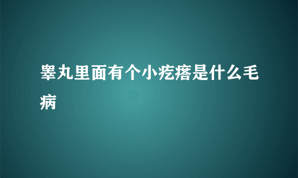 睾丸里面有个小疙瘩是什么毛病