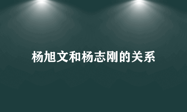 杨旭文和杨志刚的关系