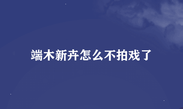 端木新卉怎么不拍戏了