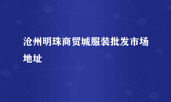 沧州明珠商贸城服装批发市场地址