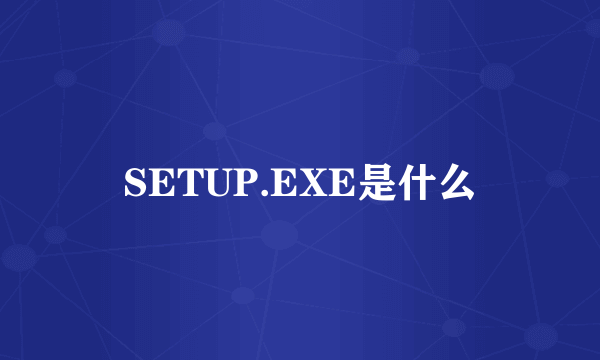 SETUP.EXE是什么