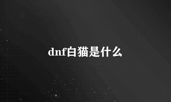 dnf白猫是什么