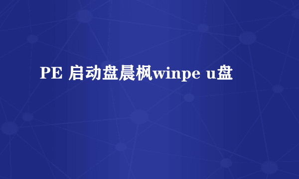 PE 启动盘晨枫winpe u盘