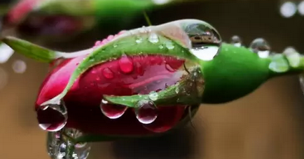 春雨贵如油古诗《春雨》全文是什么？