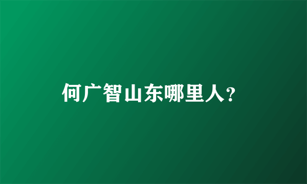 何广智山东哪里人？