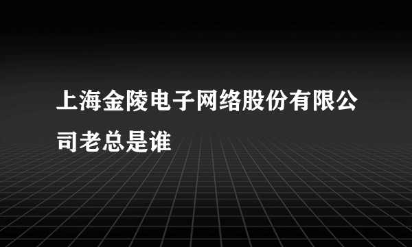 上海金陵电子网络股份有限公司老总是谁