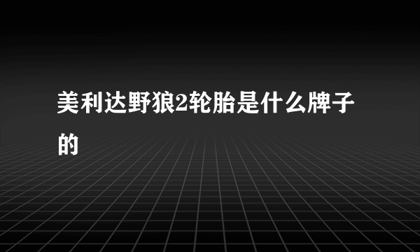 美利达野狼2轮胎是什么牌子的