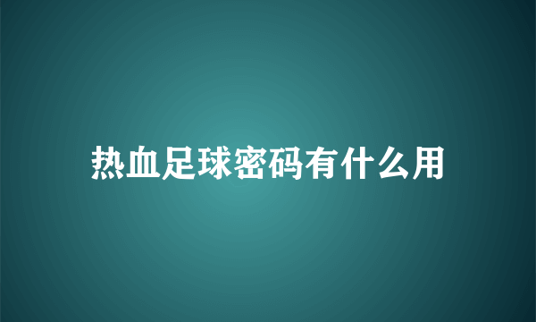 热血足球密码有什么用