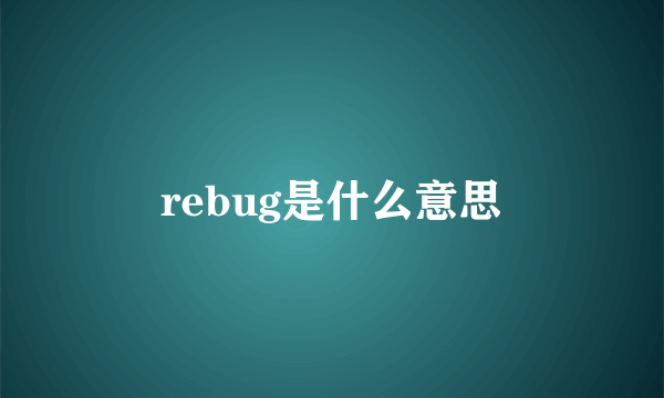 rebug是什么意思