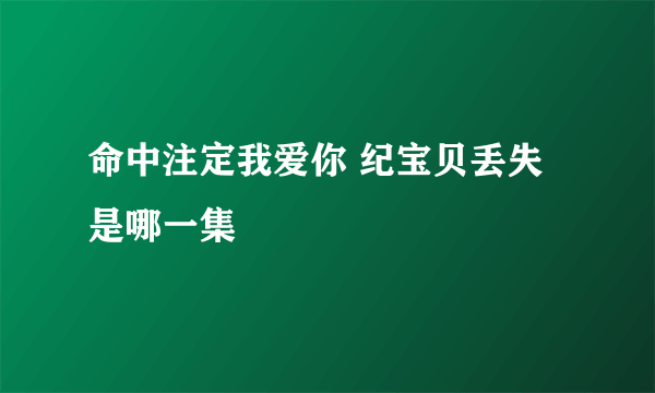 命中注定我爱你 纪宝贝丢失是哪一集