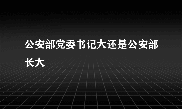 公安部党委书记大还是公安部长大