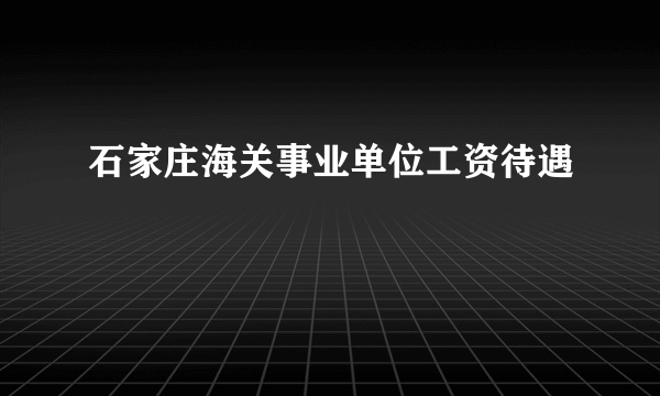 石家庄海关事业单位工资待遇