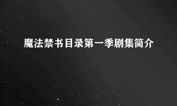 魔法禁书目录第一季剧集简介