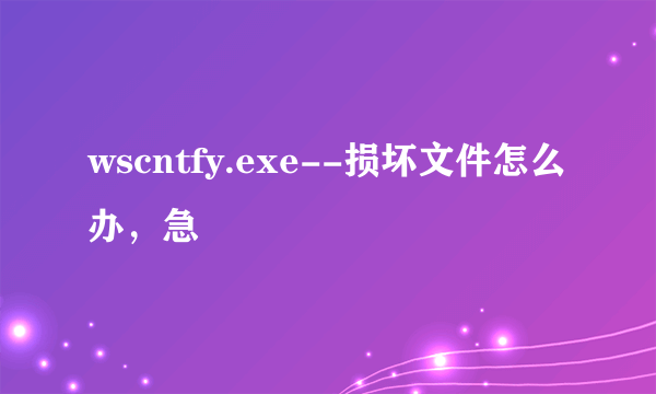 wscntfy.exe--损坏文件怎么办，急