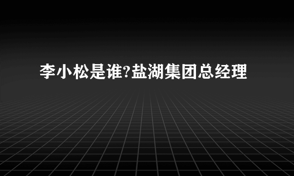 李小松是谁?盐湖集团总经理