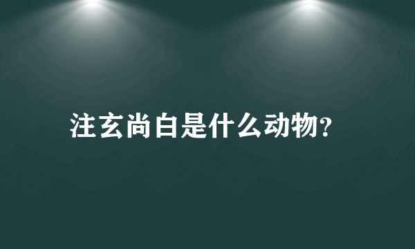 注玄尚白是什么动物？