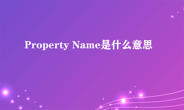 Property Name是什么意思