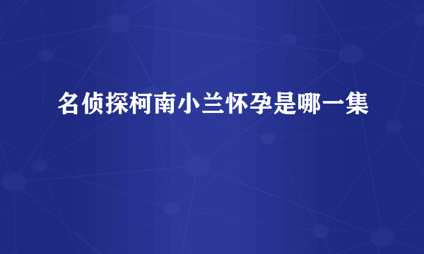 名侦探柯南小兰怀孕是哪一集