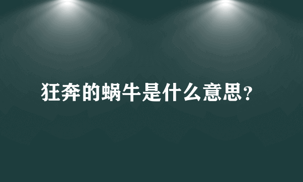 狂奔的蜗牛是什么意思？