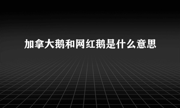 加拿大鹅和网红鹅是什么意思