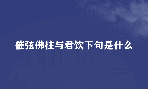 催弦佛柱与君饮下句是什么