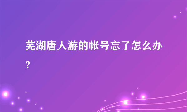 芜湖唐人游的帐号忘了怎么办？