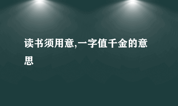 读书须用意,一字值千金的意思