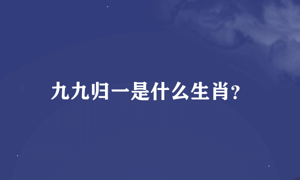 九九归一是什么生肖？